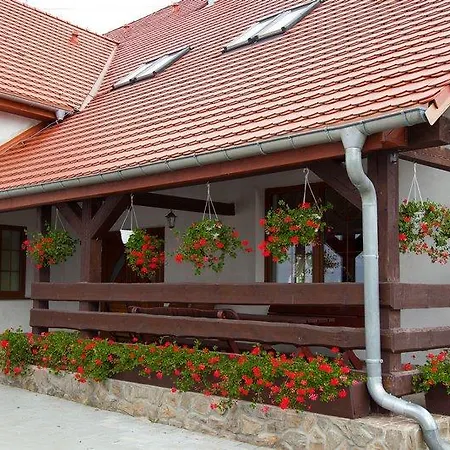 Zacheta * カミェンナ・グラ